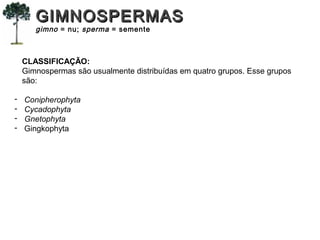CLASSIFICAÇÃO:
Gimnospermas são usualmente distribuídas em quatro grupos. Esse grupos
são:
- Conipherophyta
- Cycadophyta
- Gnetophyta
- Gingkophyta
GIMNOSPERMASGIMNOSPERMAS
gimno = nu; sperma = semente
 