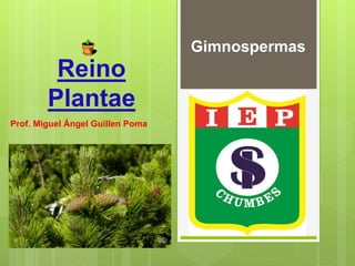 Reino
Plantae
Prof. Miguel Ángel Guillen Poma
Gimnospermas
 