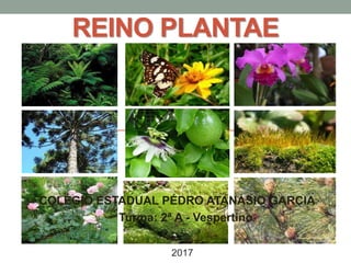 REINO PLANTAE
COLÉGIO ESTADUAL PÉDRO ATANÁSIO GARCIA
Turma: 2ª A - Vespertino
2017
 