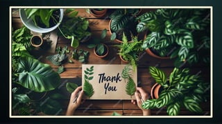 gimnospermas.                       .pptx