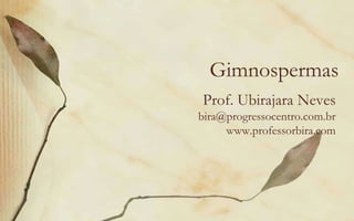 Gimnospermas
Prof. Ubirajara Neves
bira@progressocentro.com.br
     www.professorbira.com
 