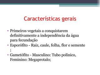 Características gerais Primeiros vegetais a conquistarem definitivamente a independência da água para fecundação  Esporófito - Raiz, caule, folha, flor e semente ; Gametófito - Masculino: Tubo polínico, Feminino: Megaprotalo; 