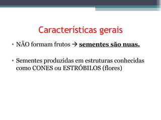 Características gerais NÃO formam frutos     sementes são nuas. Sementes produzidas em estruturas conhecidas como CONES ou ESTRÓBILOS (flores) 