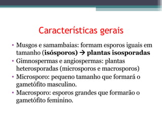 Características gerais Musgos e samambaias: formam esporos iguais em tamanho ( isósporos)    plantas isosporadas Gimnospermas e angiospermas: plantas heterosporadas (microsporos e macrosporos) Microsporo: pequeno tamanho que formará o gametófito masculino. Macrosporo: esporos grandes que formarão o gametófito feminino. 