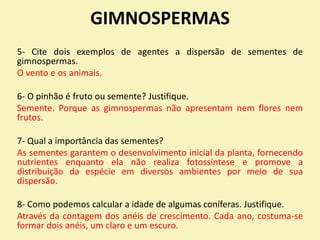 GIMNOSPERMAS
5- Cite dois exemplos de agentes a dispersão de sementes de
gimnospermas.
O vento e os animais.
6- O pinhão é fruto ou semente? Justifique.
Semente. Porque as gimnospermas não apresentam nem flores nem
frutos.
7- Qual a importância das sementes?
As sementes garantem o desenvolvimento inicial da planta, fornecendo
nutrientes enquanto ela não realiza fotossíntese e promove a
distribuição da espécie em diversos ambientes por meio de sua
dispersão.
8- Como podemos calcular a idade de algumas coníferas. Justifique.
Através da contagem dos anéis de crescimento. Cada ano, costuma-se
formar dois anéis, um claro e um escuro.
 