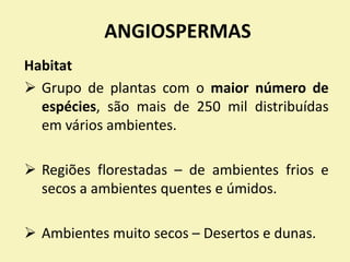 ANGIOSPERMAS
Habitat
 Grupo de plantas com o maior número de
espécies, são mais de 250 mil distribuídas
em vários ambientes.
 Regiões florestadas – de ambientes frios e
secos a ambientes quentes e úmidos.
 Ambientes muito secos – Desertos e dunas.
 