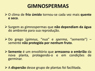 GIMNOSPERMAS
 O clima de frio úmido tornou-se cada vez mais quente
e seco.
 Surgem as gimnospermas que não dependiam da água
do ambiente para sua reprodução.
 Do grego (gimnus, “nua” e sperma, “semente”) –
semente não protegida por nenhum fruto.
 Semente é um envoltório que armazena o embrião da
nova planta, protegendo-o e em condições de
germinar.
 A dispersão desse grupo de plantas foi facilitada.
 