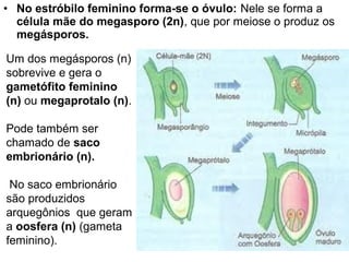 • No estróbilo feminino forma-se o óvulo: Nele se forma a
  célula mãe do megasporo (2n), que por meiose o produz os
  megásporos.

Um dos megásporos (n)
sobrevive e gera o
gametófito feminino
(n) ou megaprotalo (n).

Pode também ser
chamado de saco
embrionário (n).

 No saco embrionário
são produzidos
arquegônios que geram
a oosfera (n) (gameta
feminino).
 