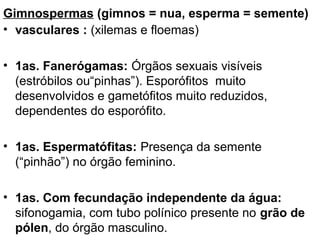 Gimnospermas (gimnos = nua, esperma = semente)
• vasculares : (xilemas e floemas)

• 1as. Fanerógamas: Órgãos sexuais visíveis
  (estróbilos ou“pinhas”). Esporófitos muito
  desenvolvidos e gametófitos muito reduzidos,
  dependentes do esporófito.

• 1as. Espermatófitas: Presença da semente
  (“pinhão”) no órgão feminino.

• 1as. Com fecundação independente da água:
  sifonogamia, com tubo polínico presente no grão de
  pólen, do órgão masculino.
 