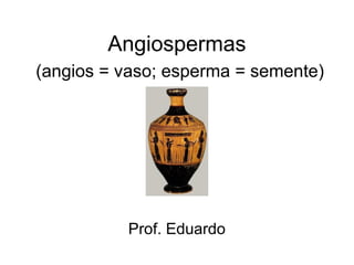 Angiospermas
(angios = vaso; esperma = semente)




          Prof. Eduardo
 