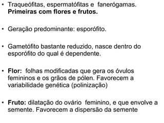 • Traqueófitas, espermatófitas e fanerógamas.
  Primeiras com flores e frutos.

• Geração predominante: esporófito.

• Gametófito bastante reduzido, nasce dentro do
  esporófito do qual é dependente.

• Flor: folhas modificadas que gera os óvulos
  femininos e os grãos de pólen. Favorecem a
  variabilidade genética (polinização)

• Fruto: dilatação do ovário feminino, e que envolve a
  semente. Favorecem a dispersão da semente
 