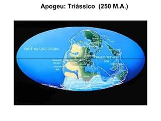 Apogeu: Triássico (250 M.A.)
 