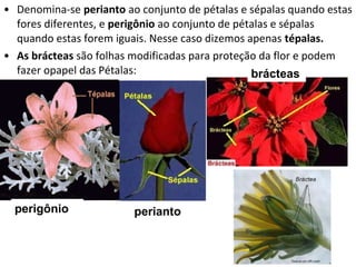 • Denomina-se perianto ao conjunto de pétalas e sépalas quando estas
  fores diferentes, e perigônio ao conjunto de pétalas e sépalas
  quando estas forem iguais. Nesse caso dizemos apenas tépalas.
• As brácteas são folhas modificadas para proteção da flor e podem
  fazer opapel das Pétalas:                       brácteas




  perigônio              perianto
 