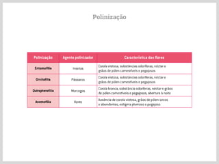 Polinização
 