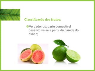 Classificação dos frutos:
◍Verdadeiros: parte comestível
desenvolve-se a partir da parede do
ovário;
 