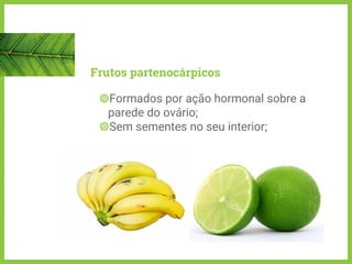 Frutos partenocárpicos
◍Formados por ação hormonal sobre a
parede do ovário;
◍Sem sementes no seu interior;
 