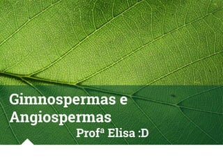 Gimnospermas e
Angiospermas
Profª Elisa :D
 