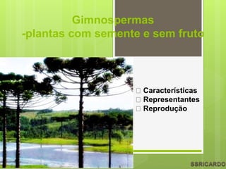 Gimnospermas
-plantas com semente e sem fruto
Características
Representantes
Reprodução
 