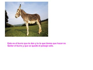 Este es el burro que te dan y tu lo que tienes que hacer es
Quitar el burro y que se quede el paisaje solo.
 
