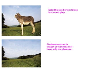 Este dibujo es borran dolo se
 borra en el gimp.




Finalmente esta es la
imagen ya terminada si el
burro solo con el paisaje.
 
