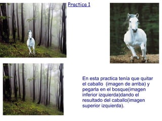 Practica 1




      En esta practica tenía que quitar
      el caballo (imagen de arriba) y
      pegarla en el bosque(imagen
      inferior izquierda)dando el
      resultado del caballo(imagen
      superior izquierda).
 