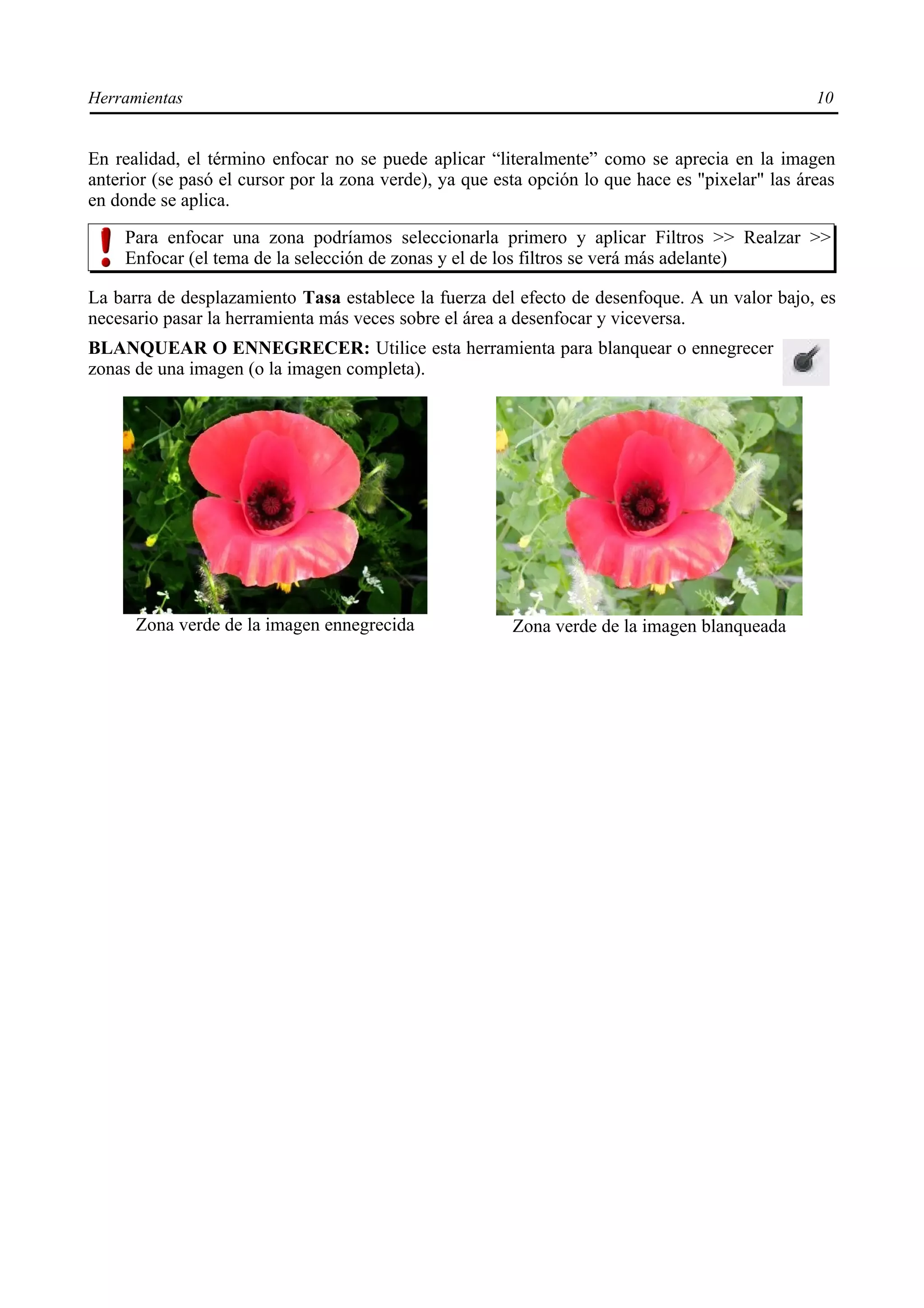Herramientas                                                                                      10


En realidad, el término enfocar no se puede aplicar “literalmente” como se aprecia en la imagen
anterior (se pasó el cursor por la zona verde), ya que esta opción lo que hace es "pixelar" las áreas
en donde se aplica.

    Para enfocar una zona podríamos seleccionarla primero y aplicar Filtros >> Realzar >>
    Enfocar (el tema de la selección de zonas y el de los filtros se verá más adelante)

La barra de desplazamiento Tasa establece la fuerza del efecto de desenfoque. A un valor bajo, es
necesario pasar la herramienta más veces sobre el área a desenfocar y viceversa.
BLANQUEAR O ENNEGRECER: Utilice esta herramienta para blanquear o ennegrecer
zonas de una imagen (o la imagen completa).




      Zona verde de la imagen ennegrecida                Zona verde de la imagen blanqueada
 