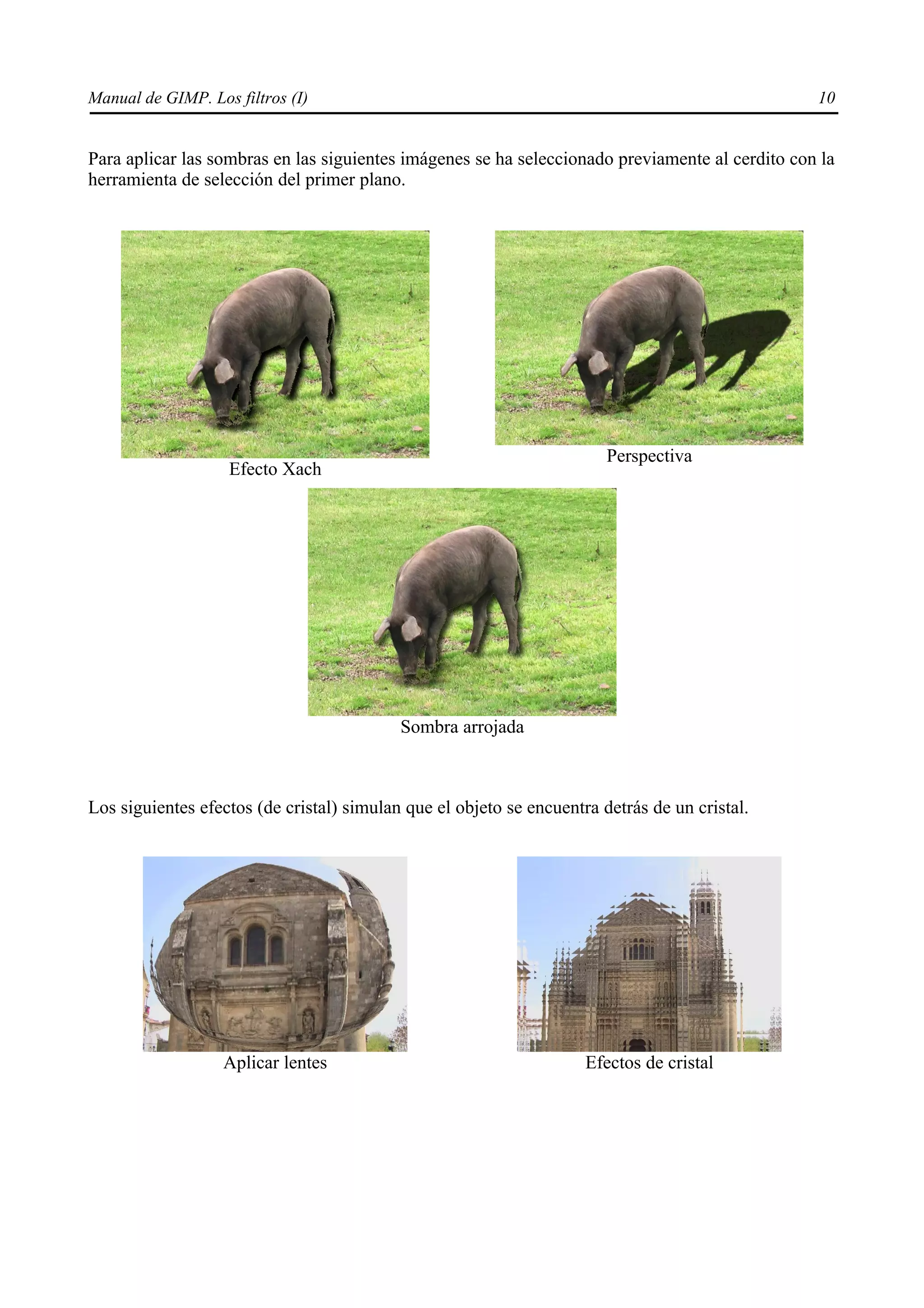 Manual de GIMP. Los filtros (I)                                                                  10


Para aplicar las sombras en las siguientes imágenes se ha seleccionado previamente al cerdito con la
herramienta de selección del primer plano.




                                                                        Perspectiva
                   Efecto Xach




                                           Sombra arrojada



Los siguientes efectos (de cristal) simulan que el objeto se encuentra detrás de un cristal.




                   Aplicar lentes                                    Efectos de cristal
 