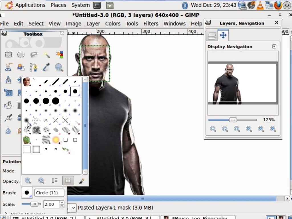 Gimp