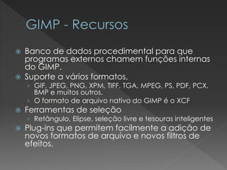 Banco de dados procedimental para que programas externos chamem funções internas do GIMP. 
Suporte a vários formatos, 
›GIF, JPEG, PNG, XPM, TIFF, TGA, MPEG, PS, PDF, PCX, BMP e muitos outros. 
›O formato de arquivo nativo do GIMP é oXCF 
Ferramentas de seleção 
›Retângulo, Elipse, seleção livre e tesouras inteligentes 
Plug-ins que permitem facilmente a adição de novos formatos de arquivo e novos filtros de efeitos.  