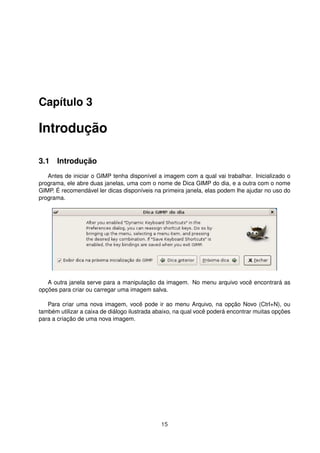 Capítulo 3
Introdução
3.1 Introdução
Antes de iniciar o GIMP tenha disponível a imagem com a qual vai trabalhar. Inicializado o
programa, ele abre duas janelas, uma com o nome de Dica GIMP do dia, e a outra com o nome
GIMP. É recomendável ler dicas disponíveis na primeira janela, elas podem lhe ajudar no uso do
programa.
A outra janela serve para a manipulação da imagem. No menu arquivo você encontrará as
opções para criar ou carregar uma imagem salva.
Para criar uma nova imagem, você pode ir ao menu Arquivo, na opção Novo (Ctrl+N), ou
também utilizar a caixa de diálogo ilustrada abaixo, na qual você poderá encontrar muitas opções
para a criação de uma nova imagem.
15
 