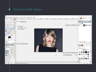 Parts of the GIMP Window
Toolbox
Image
Window
Tool Options
Layers Dialog
Brushes/Patterns
/Gradients
 