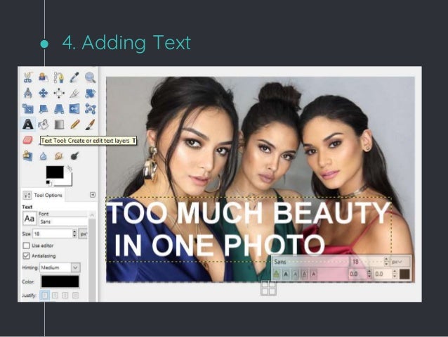 image manipulation program image manipulation program