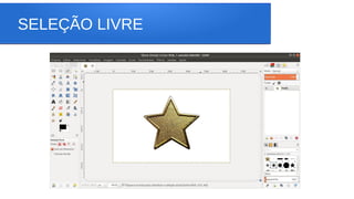SELEÇÃO LIVRE
 