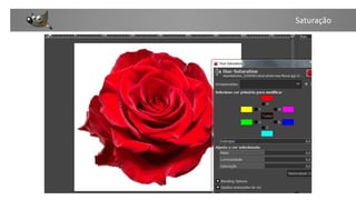 Treinamento sobre o GIMP