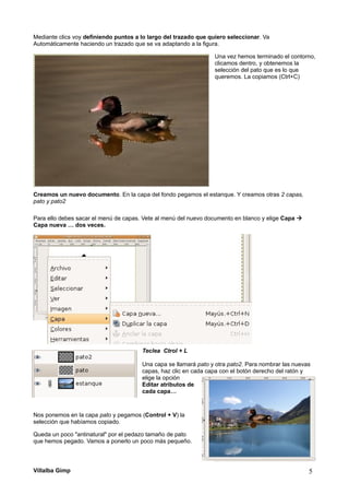 Mediante clics voy definiendo puntos a lo largo del trazado que quiero seleccionar. Va
Automáticamente haciendo un trazado que se va adaptando a la figura.
Una vez hemos terminado el contorno,
clicamos dentro, y obtenemos la
selección del pato que es lo que
queremos. La copiamos (Ctrl+C)
Creamos un nuevo documento. En la capa del fondo pegamos el estanque. Y creamos otras 2 capas,
pato y pato2
Para ello debes sacar el menú de capas. Vete al menú del nuevo documento en blanco y elige Capa 
Capa nueva … dos veces.
Teclea Ctrol + L
Una capa se llamará pato y otra pato2. Para nombrar las nuevas
capas, haz clic en cada capa con el botón derecho del ratón y
elige la opción
Editar atributos de
cada capa…
Nos ponemos en la capa pato y pegamos (Control + V) la
selección que habíamos copiado.
Queda un poco "antinatural" por el pedazo tamaño de pato
que hemos pegado. Vamos a ponerlo un poco más pequeño.
Villalba Gimp 5
 