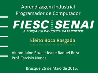 Aprendizagem Industrial
Programador de Computador
Aluno: Jaine Roza e Jeane Raquel Roza
Prof. Tarcísio Nunes
Brusque,26 de Maio de 2015.
 