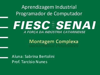 Aprendizagem Industrial
Programador de Computador
Aluna: Sabrina Bertolini
Prof. Tarcísio Nunes
 