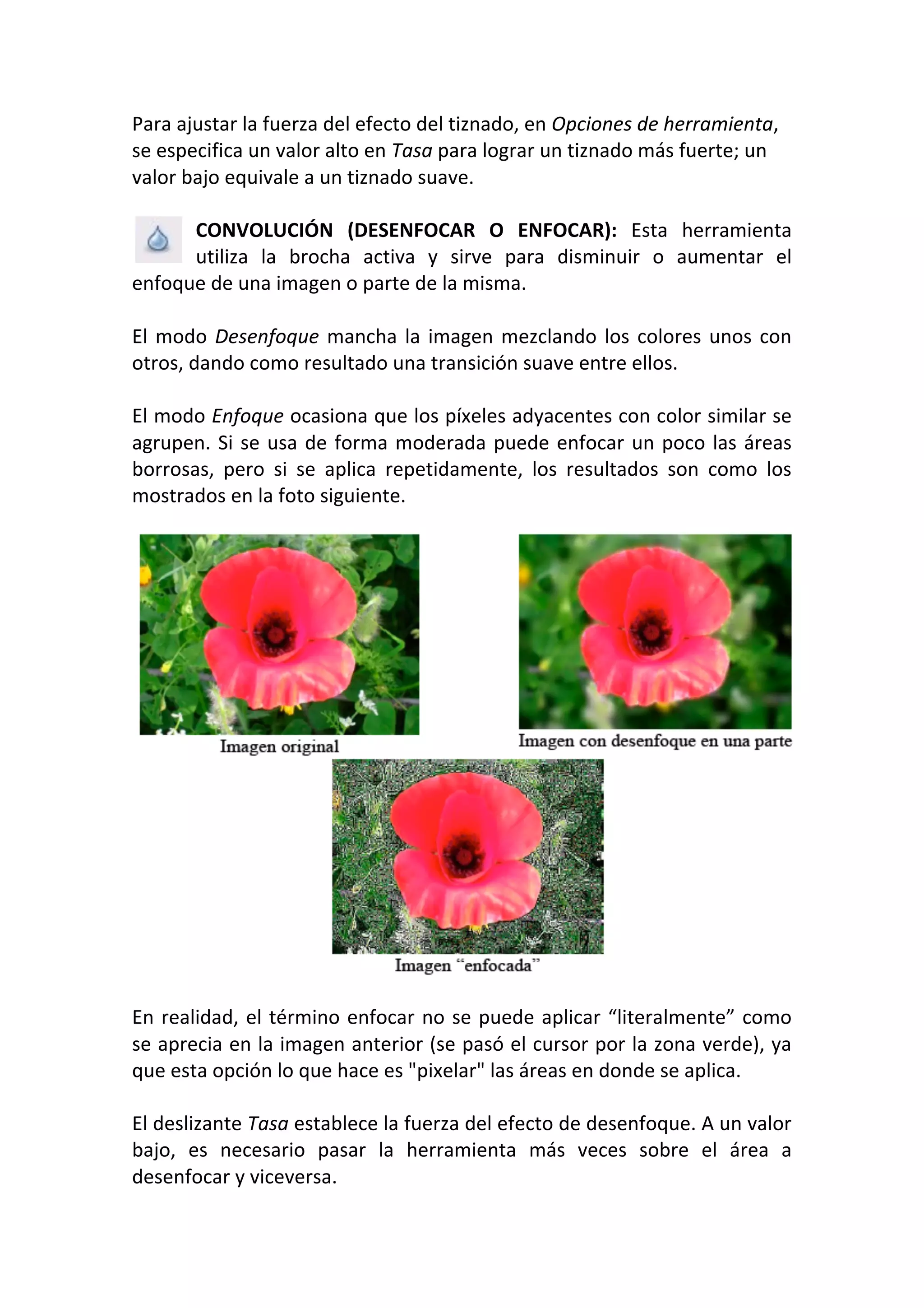 Para ajustar la fuerza del efecto del tiznado, en Opciones de herramienta, 
se especifica un valor alto en Tasa para lograr un tiznado más fuerte; un 
valor bajo equivale a un tiznado suave. 
 
CONVOLUCIÓN  (DESENFOCAR  O  ENFOCAR):  Esta  herramienta 
utiliza  la  brocha  activa  y  sirve  para  disminuir  o  aumentar  el 
enfoque de una imagen o parte de la misma. 
 
El modo Desenfoque mancha la imagen mezclando los colores unos con 
otros, dando como resultado una transición suave entre ellos. 
 
El modo Enfoque ocasiona que los píxeles adyacentes con color similar se 
agrupen. Si se usa de forma moderada puede enfocar un poco las áreas 
borrosas,  pero  si  se  aplica  repetidamente,  los  resultados  son  como  los 
mostrados en la foto siguiente. 
 
En realidad, el término enfocar no se puede aplicar “literalmente” como 
se aprecia en la imagen anterior (se pasó el cursor por la zona verde), ya 
que esta opción lo que hace es "pixelar" las áreas en donde se aplica. 
 
El deslizante Tasa establece la fuerza del efecto de desenfoque. A un valor 
bajo,  es  necesario  pasar  la  herramienta  más  veces  sobre  el  área  a 
desenfocar y viceversa. 
 