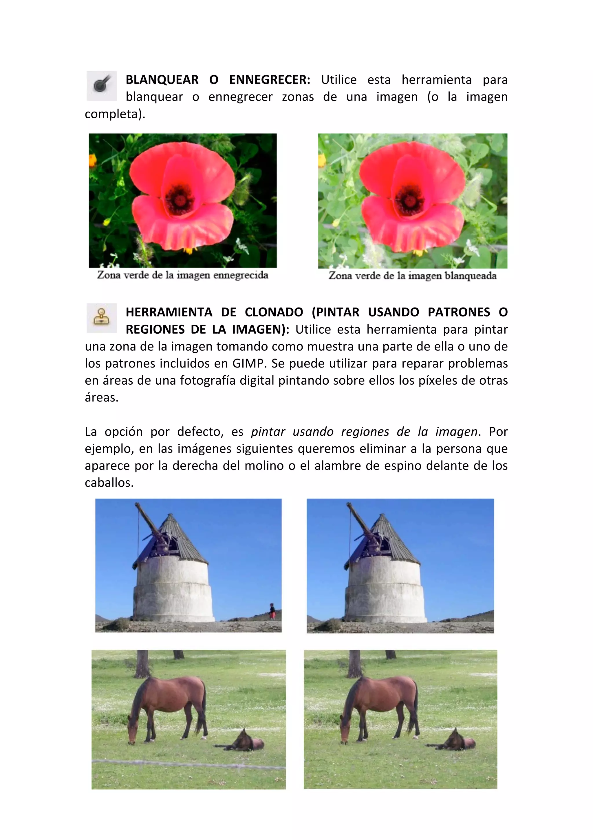 BLANQUEAR  O  ENNEGRECER:  Utilice  esta  herramienta  para 
blanquear  o  ennegrecer  zonas  de  una  imagen  (o  la  imagen 
completa). 
 
HERRAMIENTA  DE  CLONADO  (PINTAR  USANDO  PATRONES  O 
REGIONES  DE  LA  IMAGEN):  Utilice  esta  herramienta  para  pintar 
una zona de la imagen tomando como muestra una parte de ella o uno de 
los patrones incluidos en GIMP. Se puede utilizar para reparar problemas 
en áreas de una fotografía digital pintando sobre ellos los píxeles de otras 
áreas. 
 
La  opción  por  defecto,  es  pintar  usando  regiones  de  la  imagen.  Por 
ejemplo, en las imágenes siguientes queremos eliminar a la persona que 
aparece por la derecha del molino o el alambre de espino delante de los 
caballos. 
 