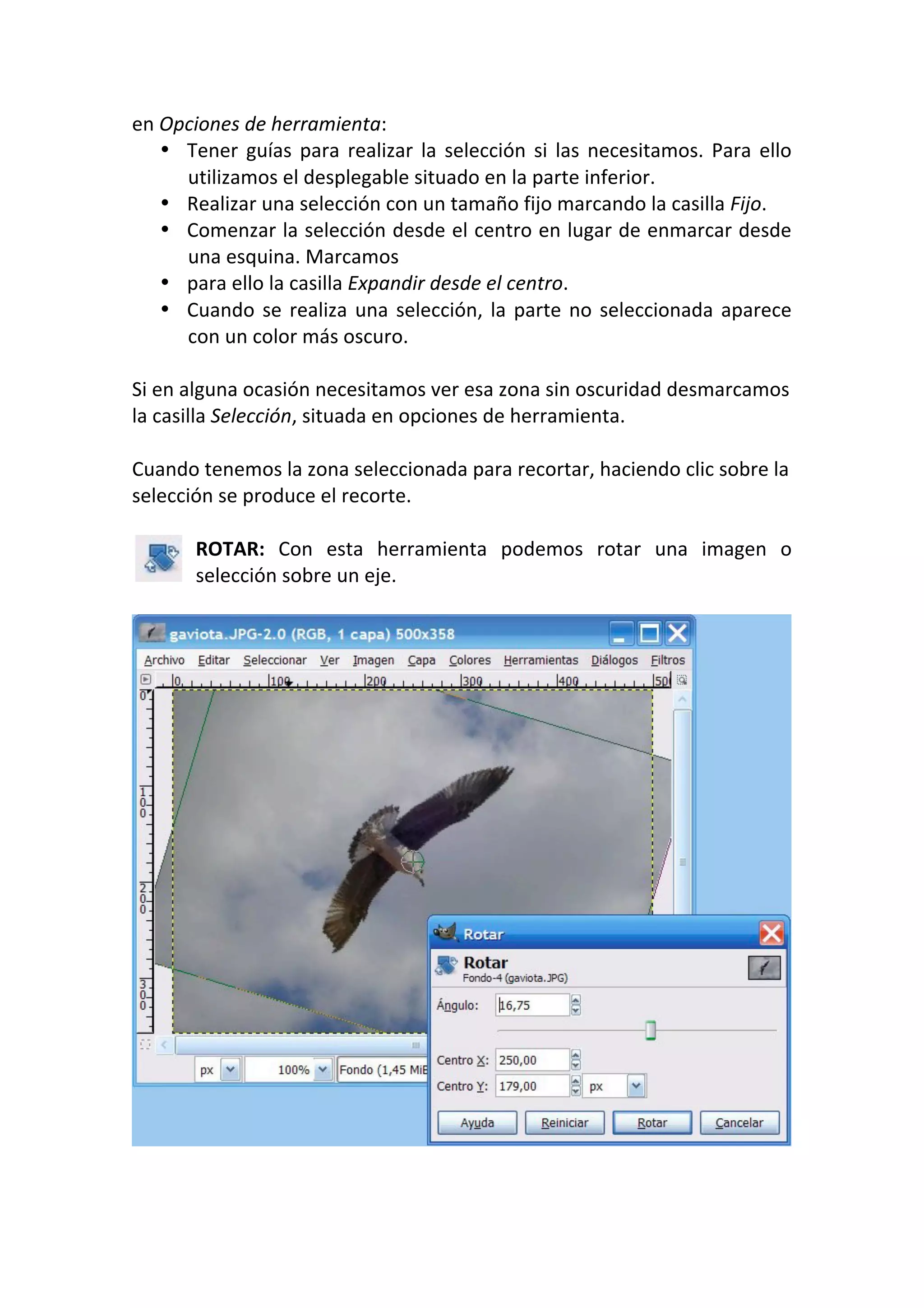en Opciones de herramienta: 
• Tener guías para realizar la selección si las necesitamos. Para ello 
utilizamos el desplegable situado en la parte inferior. 
• Realizar una selección con un tamaño fijo marcando la casilla Fijo. 
• Comenzar la selección desde el centro en lugar de enmarcar desde 
una esquina. Marcamos 
• para ello la casilla Expandir desde el centro. 
• Cuando se realiza una selección, la parte no seleccionada aparece 
con un color más oscuro. 
 
Si en alguna ocasión necesitamos ver esa zona sin oscuridad desmarcamos 
la casilla Selección, situada en opciones de herramienta. 
 
Cuando tenemos la zona seleccionada para recortar, haciendo clic sobre la 
selección se produce el recorte. 
 
ROTAR:  Con  esta  herramienta  podemos  rotar  una  imagen  o 
selección sobre un eje. 
 
 
 