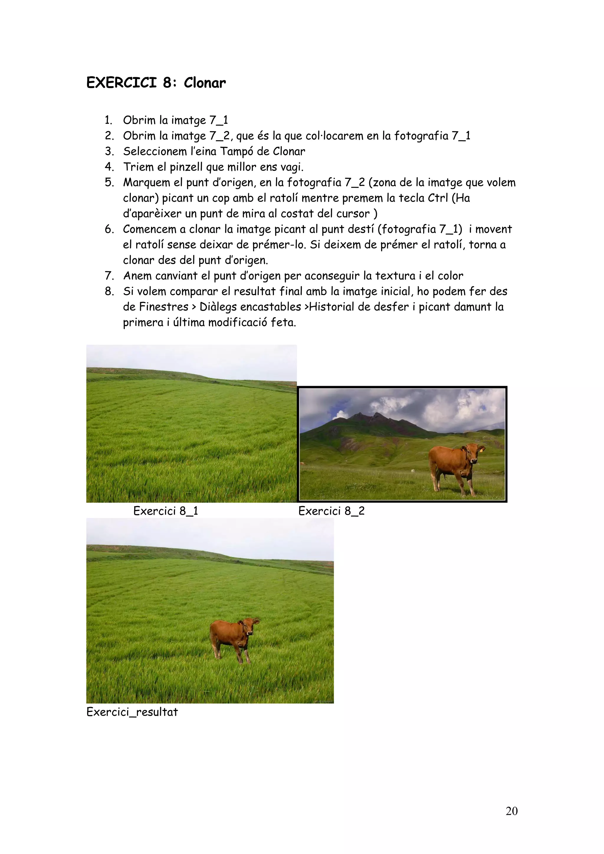 EXERCICI 8: Clonar

   1. Obrim la imatge 7_1
   2. Obrim la imatge 7_2, que és la que col·locarem en la fotografia 7_1
   3. Seleccionem l’eina Tampó de Clonar
   4. Triem el pinzell que millor ens vagi.
   5. Marquem el punt d’origen, en la fotografia 7_2 (zona de la imatge que volem
      clonar) picant un cop amb el ratolí mentre premem la tecla Ctrl (Ha
      d’aparèixer un punt de mira al costat del cursor )
   6. Comencem a clonar la imatge picant al punt destí (fotografia 7_1) i movent
      el ratolí sense deixar de prémer-lo. Si deixem de prémer el ratolí, torna a
      clonar des del punt d’origen.
   7. Anem canviant el punt d’origen per aconseguir la textura i el color
   8. Si volem comparar el resultat final amb la imatge inicial, ho podem fer des
      de Finestres > Diàlegs encastables >Historial de desfer i picant damunt la
      primera i última modificació feta.




        Exercici 8_1                   Exercici 8_2




Exercici_resultat




                                                                               20
 