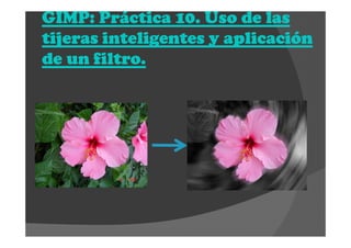 GIMP: Práctica 10. Uso de lasGIMP: Práctica 10. Uso de lasGIMP: Práctica 10. Uso de lasGIMP: Práctica 10. Uso de las
tijeras inteligentes y aplicacióntijeras inteligentes y aplicacióntijeras inteligentes y aplicacióntijeras inteligentes y aplicación
de un filtro.de un filtro.de un filtro.de un filtro.
 
