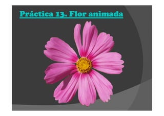 Práctica 13. Flor animadaPráctica 13. Flor animadaPráctica 13. Flor animadaPráctica 13. Flor animada
 
