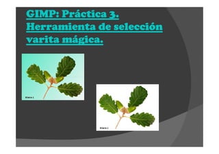 GIMP: Práctica 3.GIMP: Práctica 3.GIMP: Práctica 3.GIMP: Práctica 3.
Herramienta de selecciónHerramienta de selecciónHerramienta de selecciónHerramienta de selección
varita mágica.varita mágica.varita mágica.varita mágica.
 