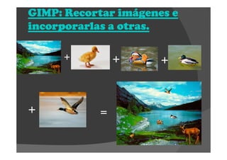 GIMP: Recortar imágenes eGIMP: Recortar imágenes eGIMP: Recortar imágenes eGIMP: Recortar imágenes e
incorporarlasincorporarlasincorporarlasincorporarlas a otras.a otras.a otras.a otras.
+ ++
+
=
 