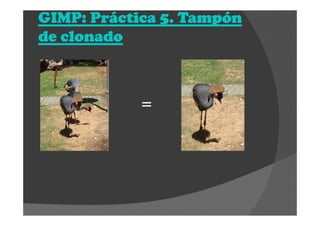 GIMP: Práctica 5. TampónGIMP: Práctica 5. TampónGIMP: Práctica 5. TampónGIMP: Práctica 5. Tampón
de clonadode clonadode clonadode clonado
=
 