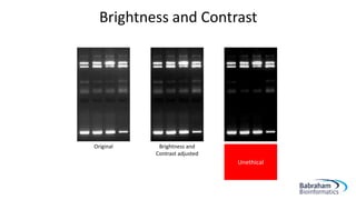 Brightness and Contrast
Original Brightness and
Contrast adjusted
Brightness and
Contrast adjusted
too much
image is
oversaturated
Unethical
 