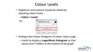 Colour Levels
• Brightness and contrast should be edited by
adjusting colour levels
– Colors > Levels
Or:
• Dialogue box shows histogram of colour value usage
– Useful to display a Logarithmic histogram so that
values aren’t hidden at the bottom of the graph
 