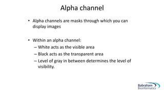 Alpha channel
• Alpha channels are masks through which you can
display images
• Within an alpha channel:
– White acts as the visible area
– Black acts as the transparent area
– Level of gray in between determines the level of
visibility.
 