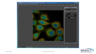 21/01/2024 Creating Scientific Figures
 